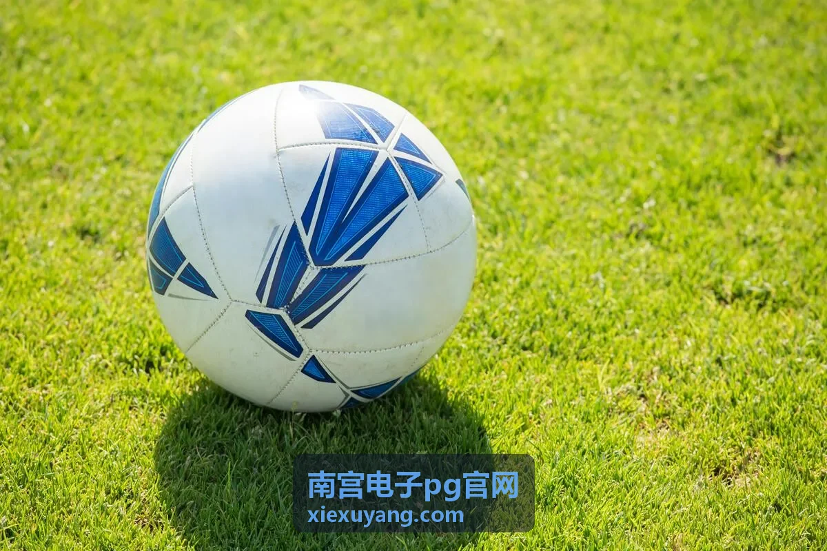 南宫电子pg官网客户端下载安装界面示意