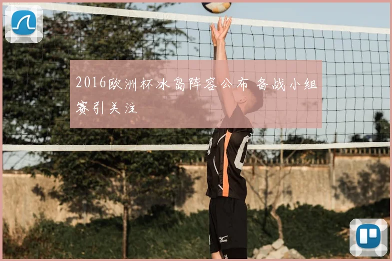 2016欧洲杯冰岛阵容公布 备战小组赛引关注
