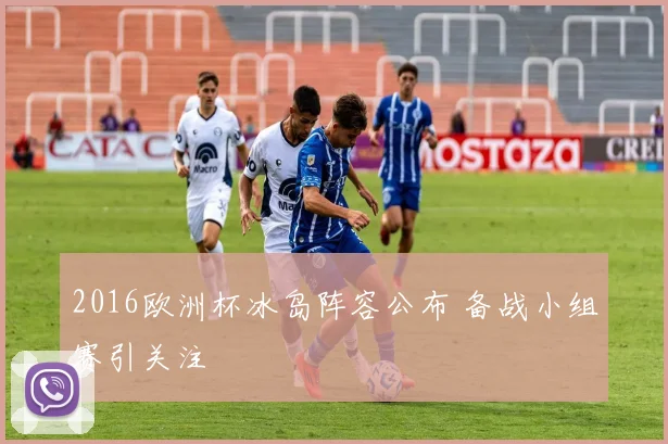 2016欧洲杯冰岛阵容公布 备战小组赛引关注