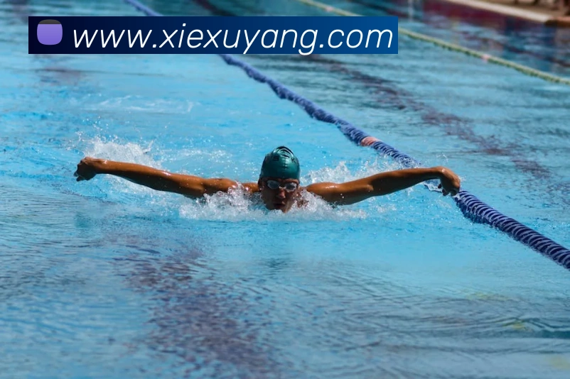 世界杯开户平台平台生态图